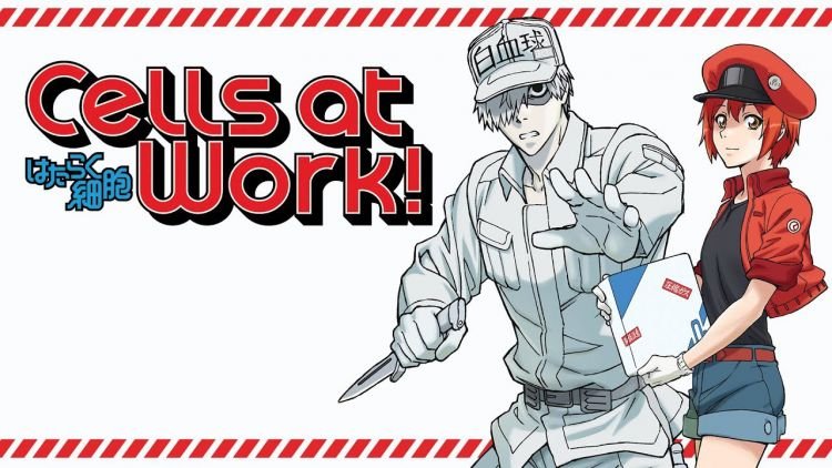 Cells at Work Season 2 English Dub Heading to Funimation - Siliconera