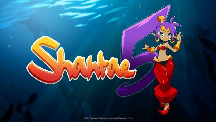 Shantae 5 Teaser Artwork