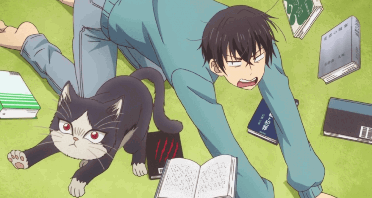 My Roommate is a Cat Series Review: From One Cat Person to Another