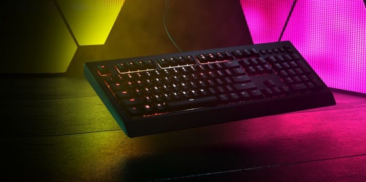 Razer Cynosa v2 Keyboard Review