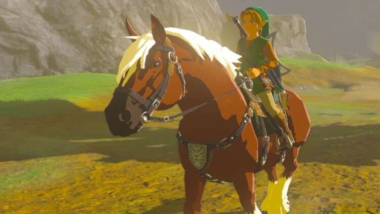 Import BOTW horses into Tears of the Kingdom